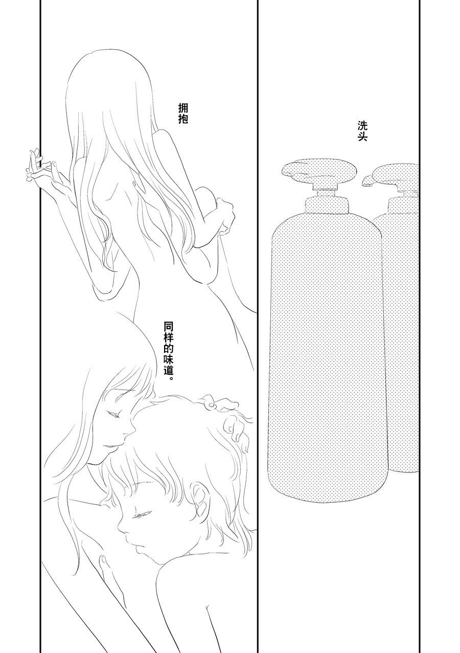 洋甘菊