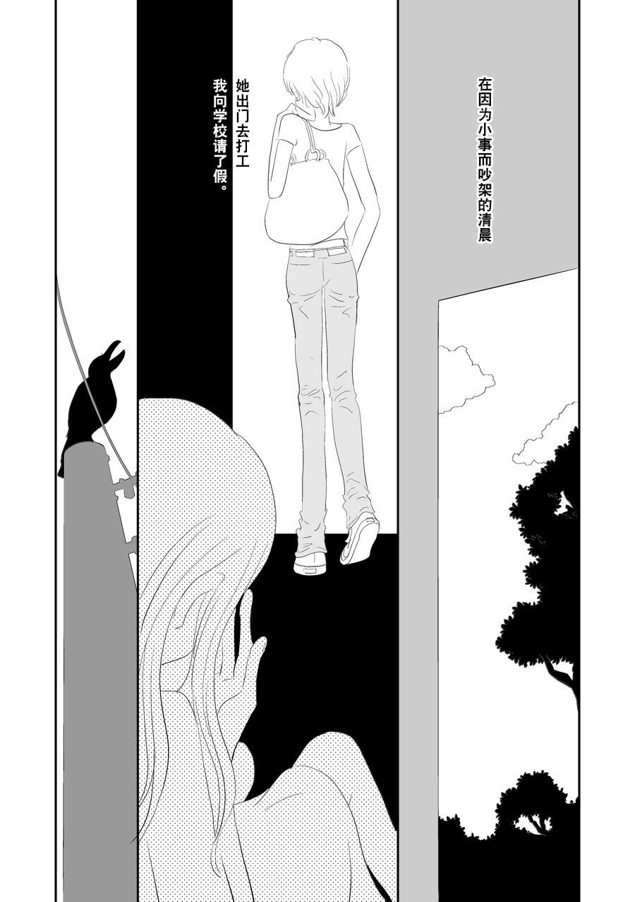洋甘菊
