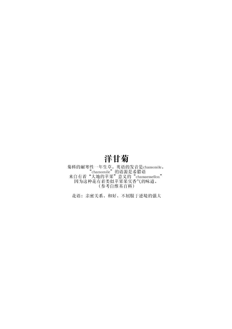 洋甘菊