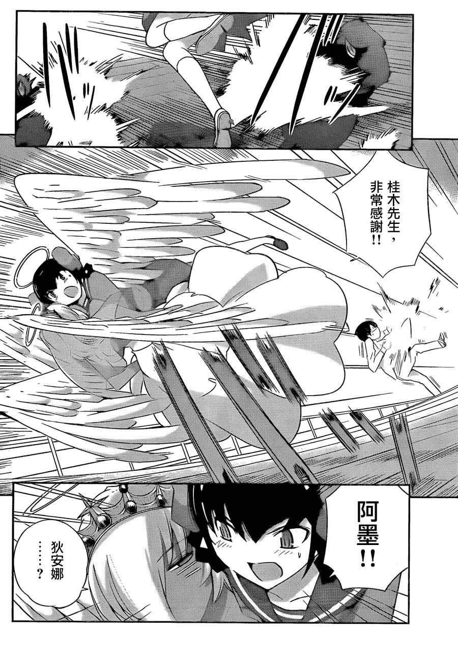 第187话 婚礼钟声