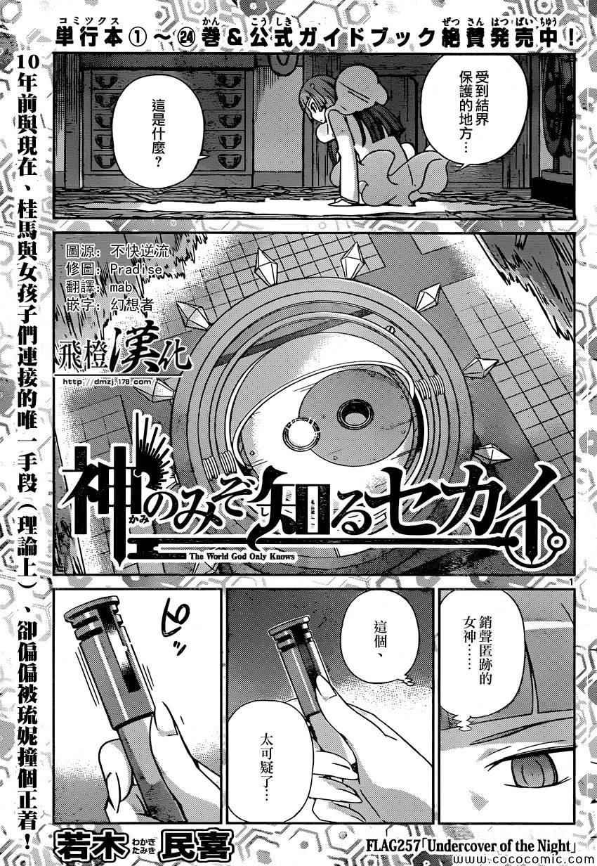 第257话 undercover of the night