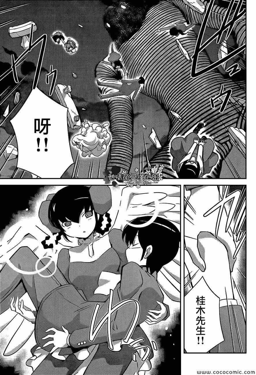 第265话 WORLD FORTUNE