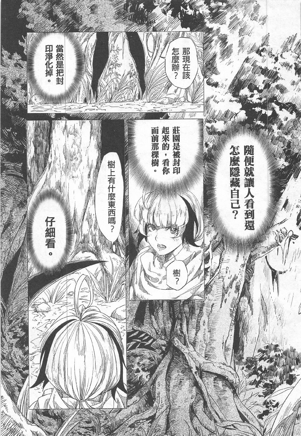 第13期