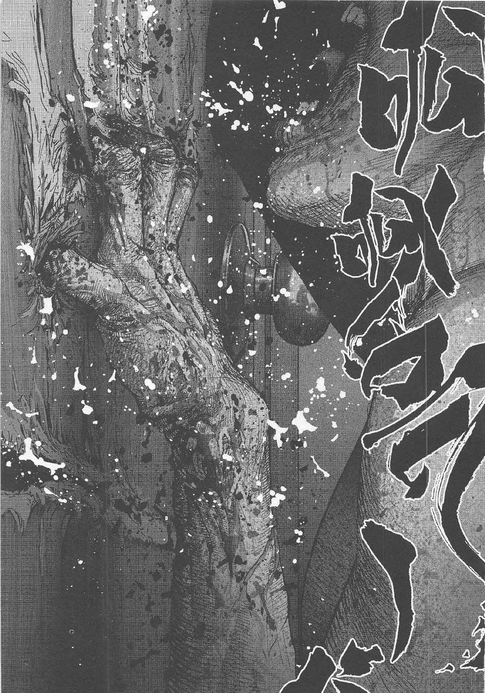 第5期