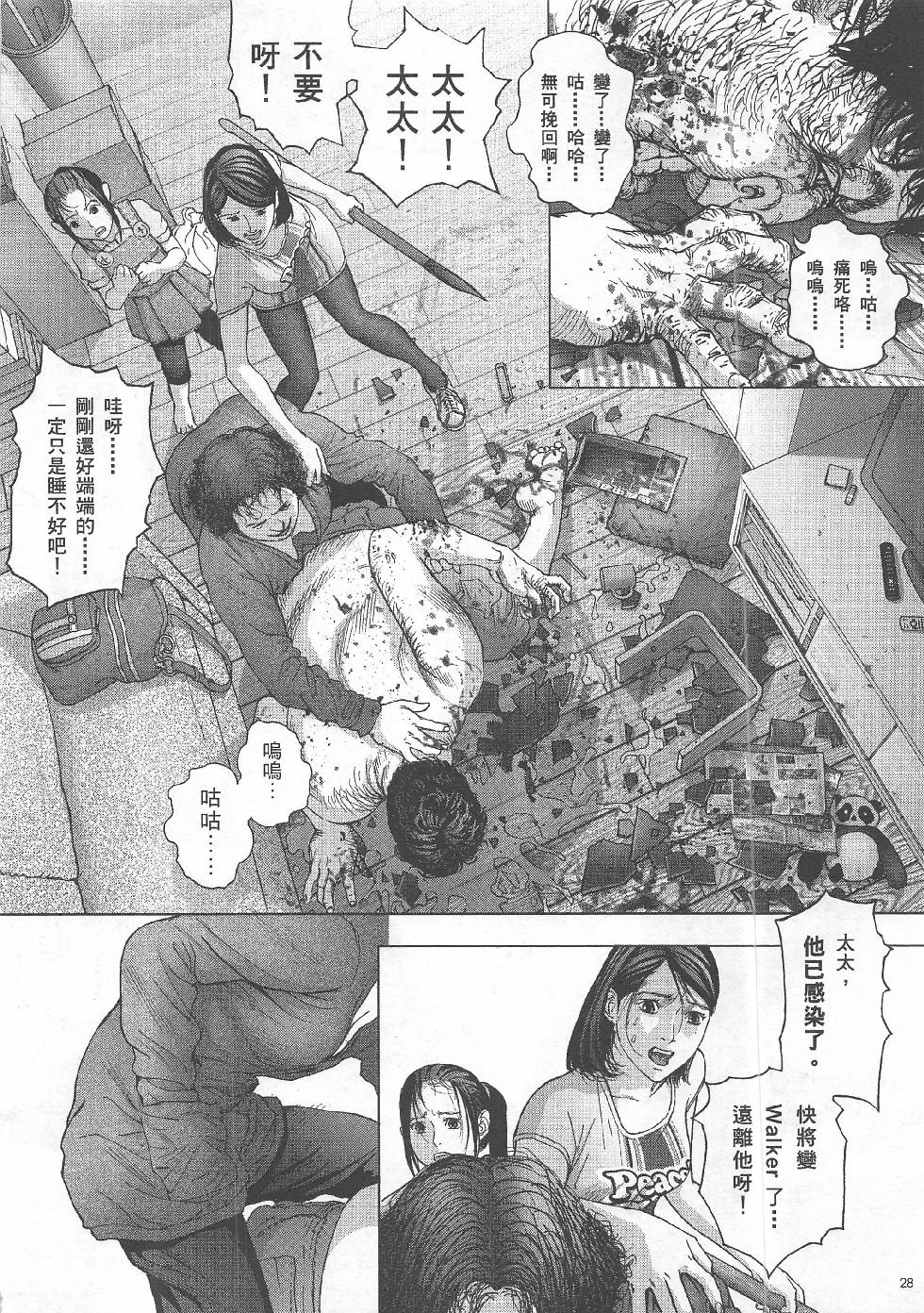 第7期