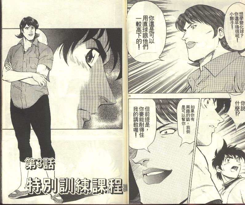 第31卷
