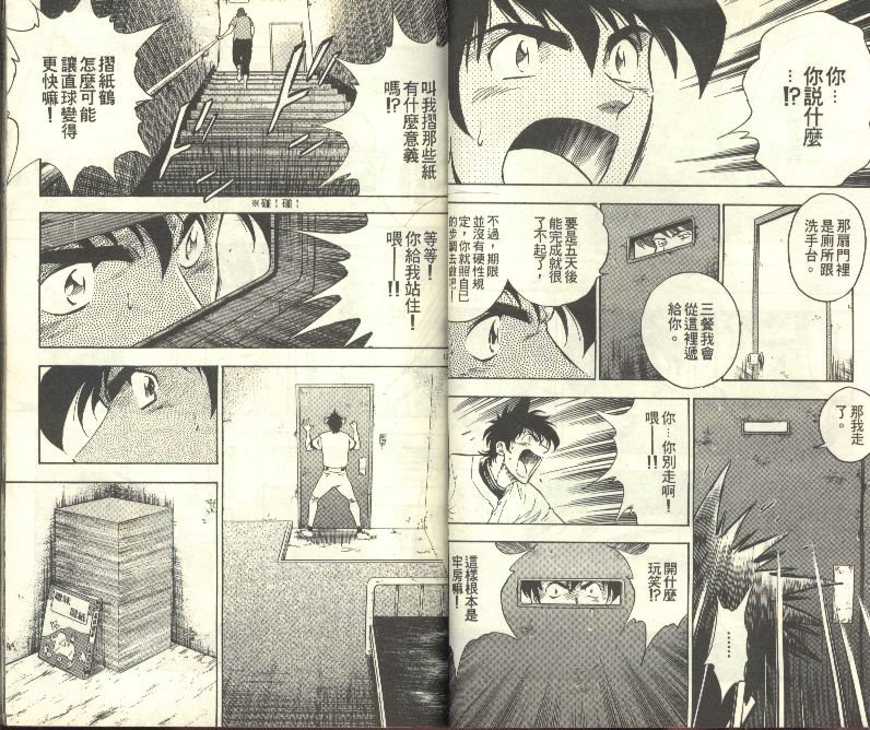 第31卷