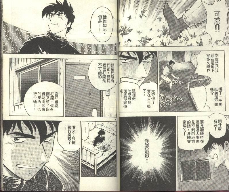 第31卷