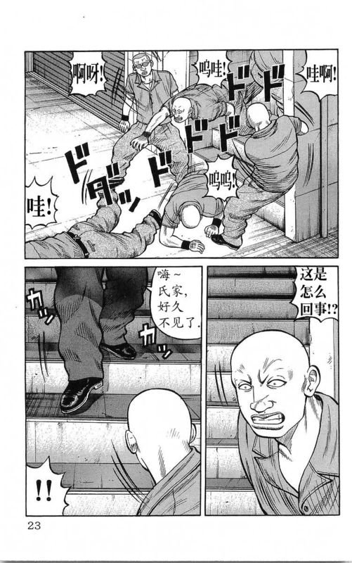 第23卷