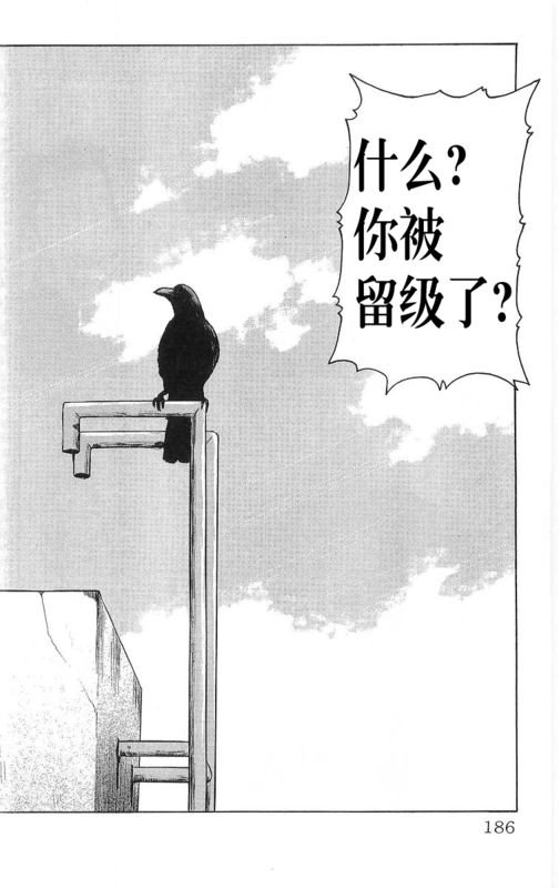 第26卷