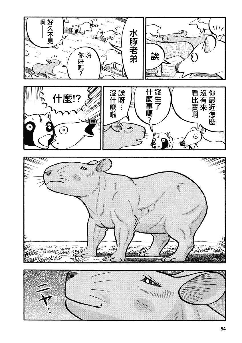 第137话 水豚