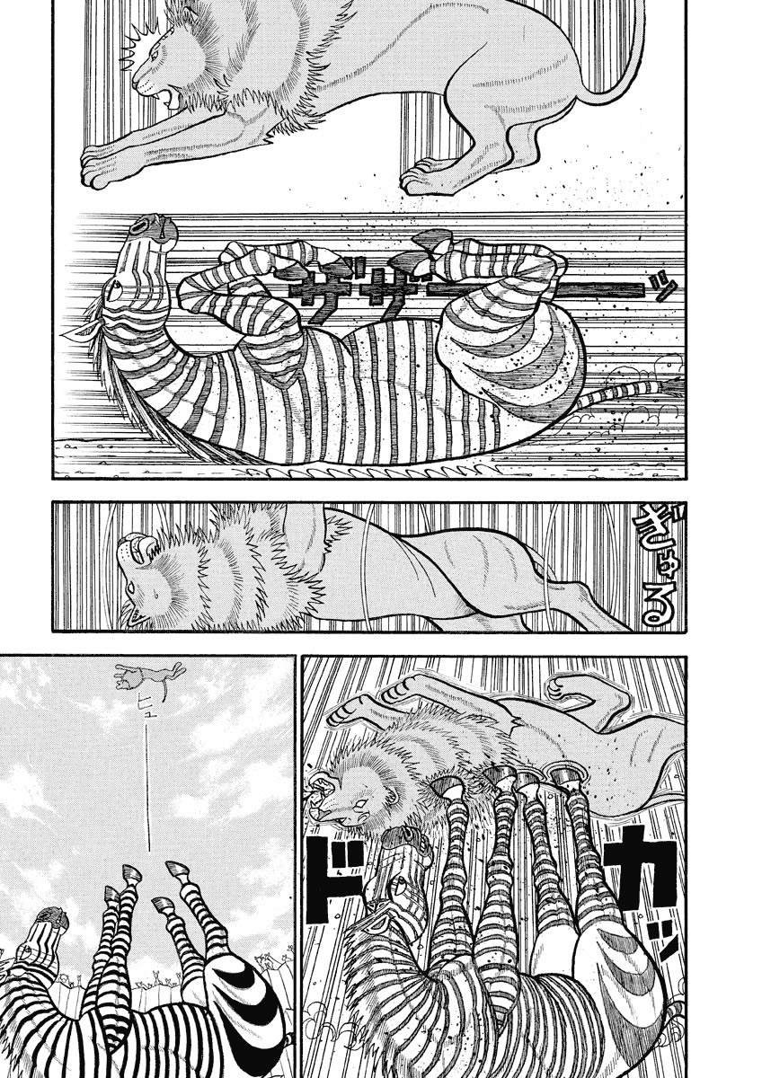 第144话 泽布拉的猛攻