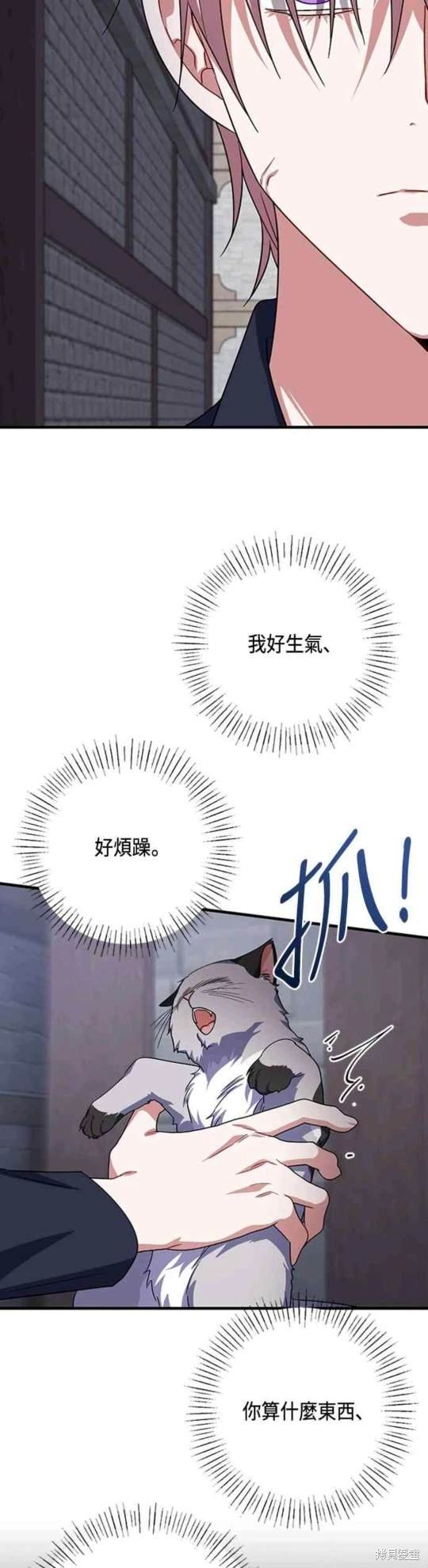 第99话
