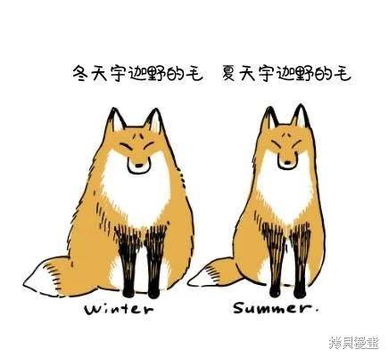 番外1