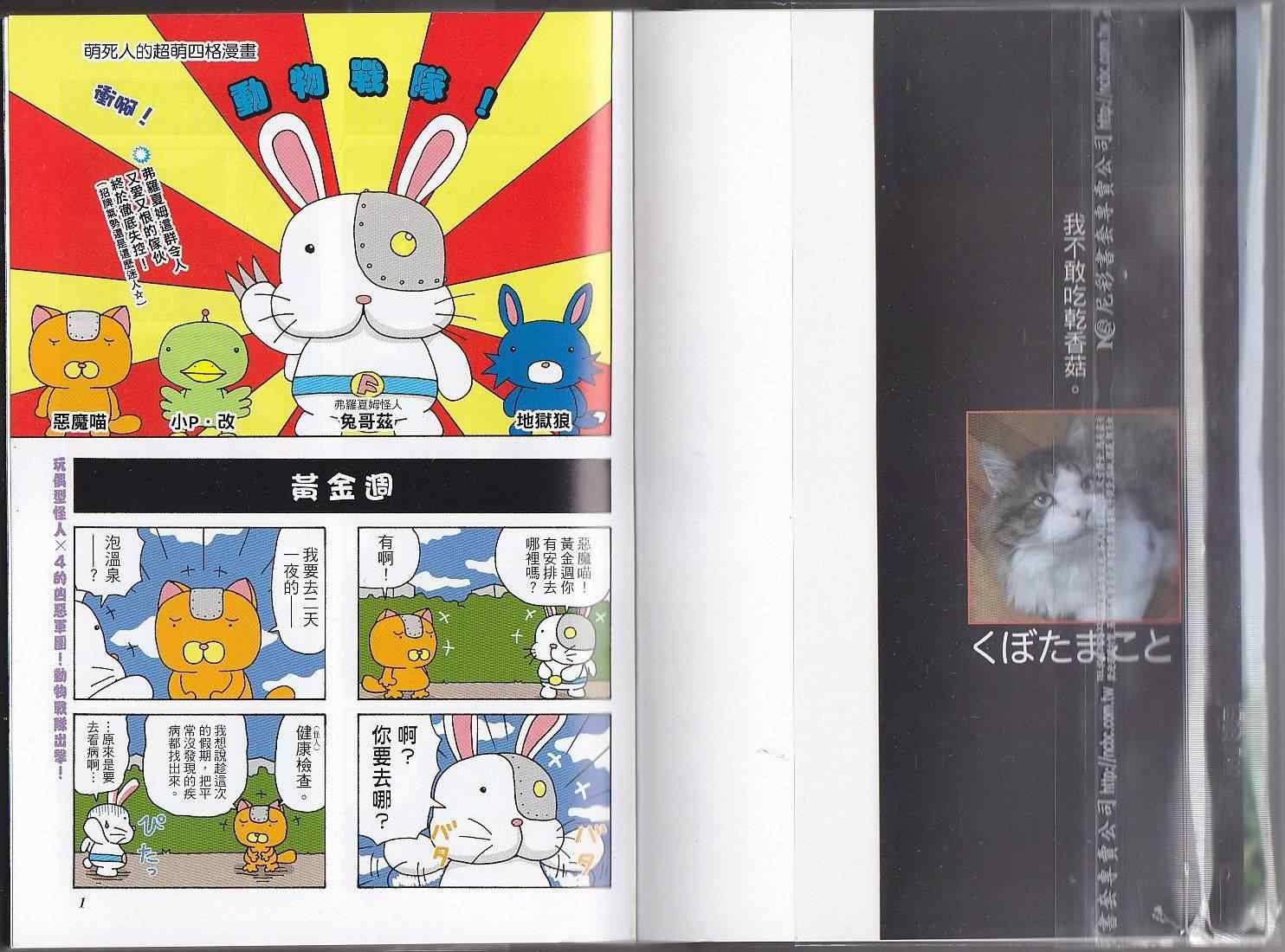 第11卷