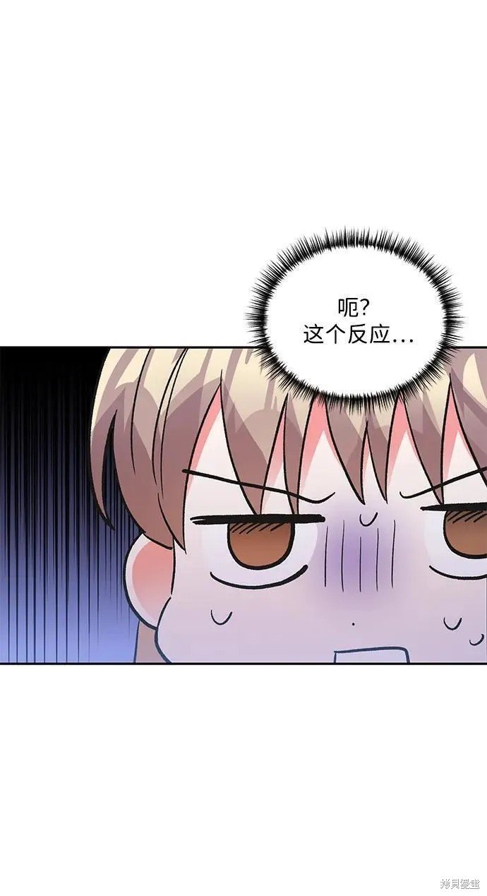最终话