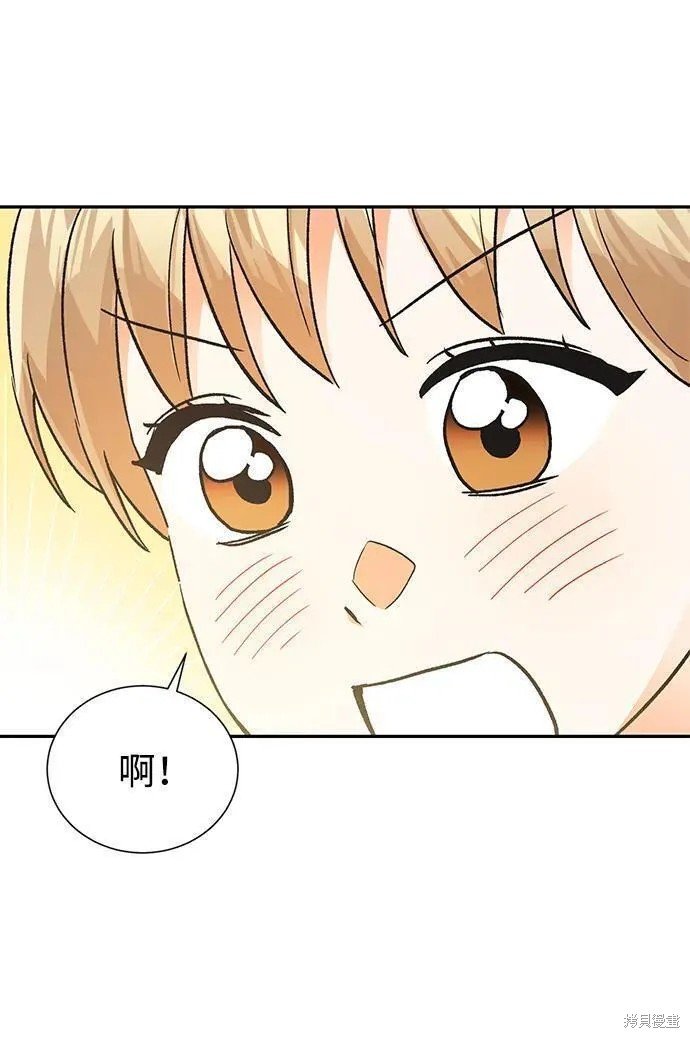 最终话
