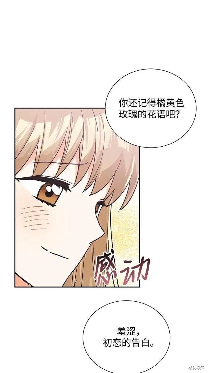 最终话