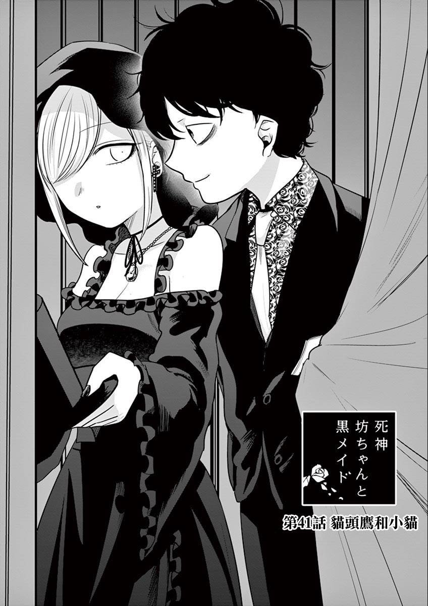 第41话 猫头鹰和小猫