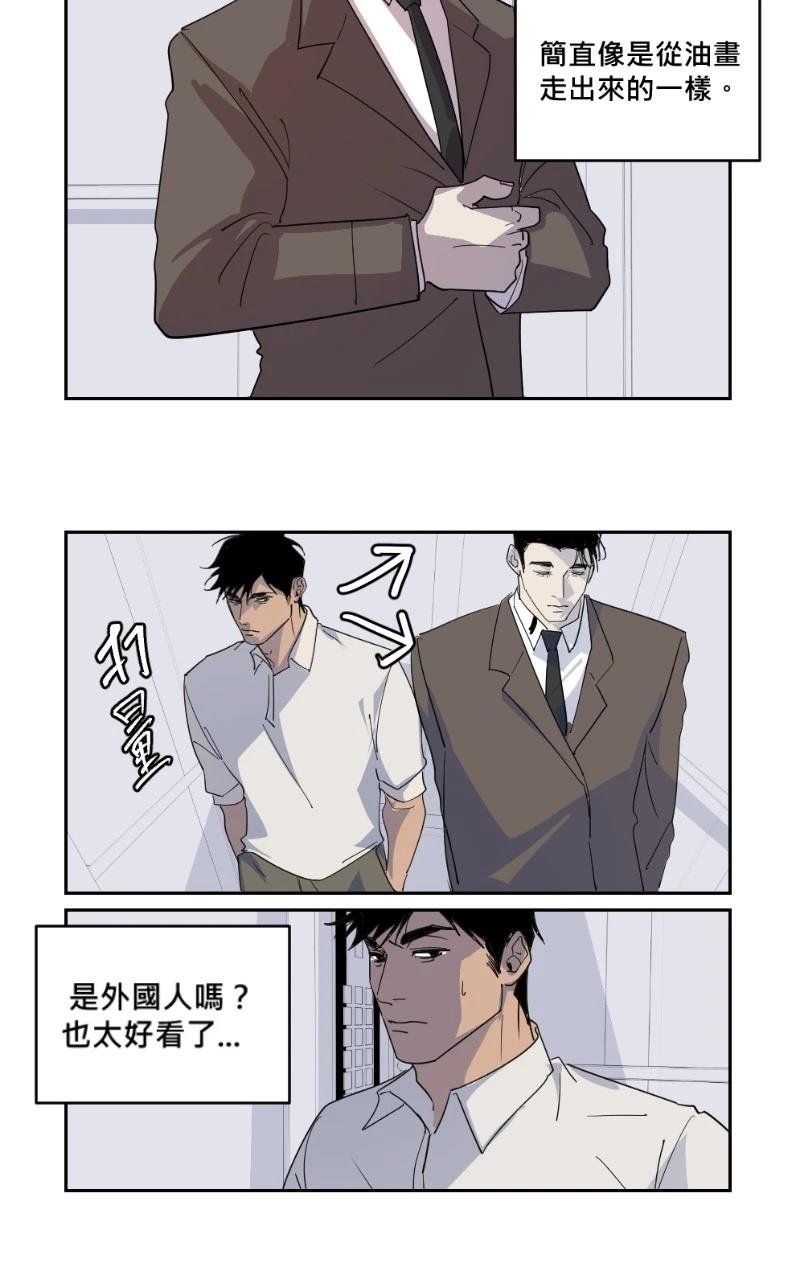 后记+杂谈