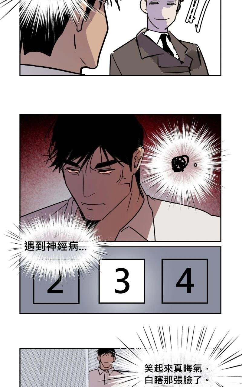 后记+杂谈