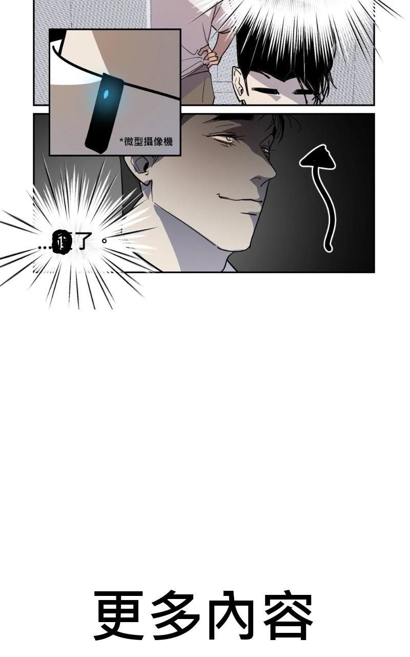 后记+杂谈