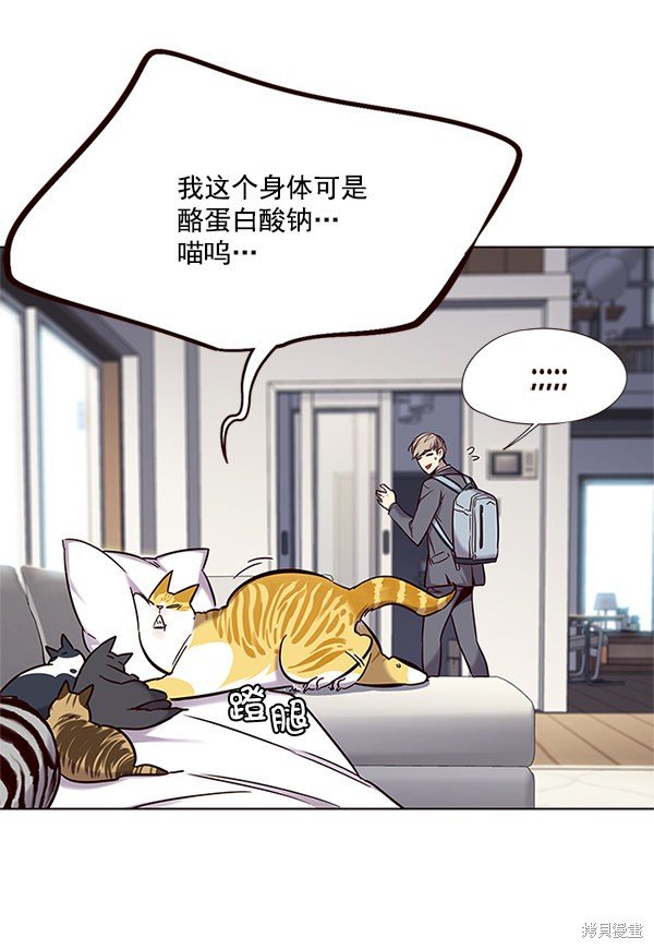 第100话