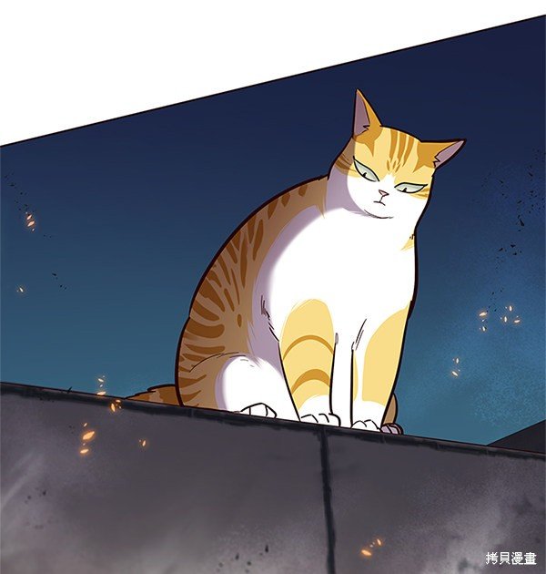 第110话