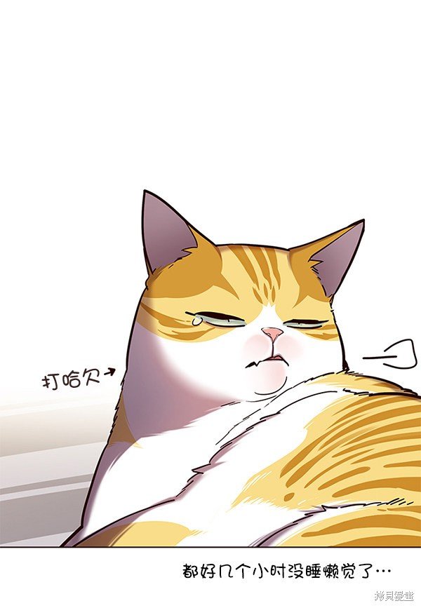 第113话