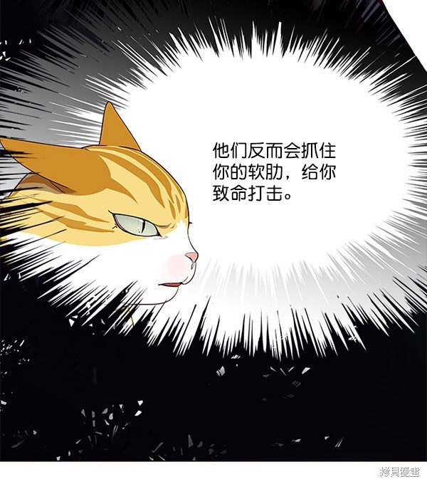 第114话