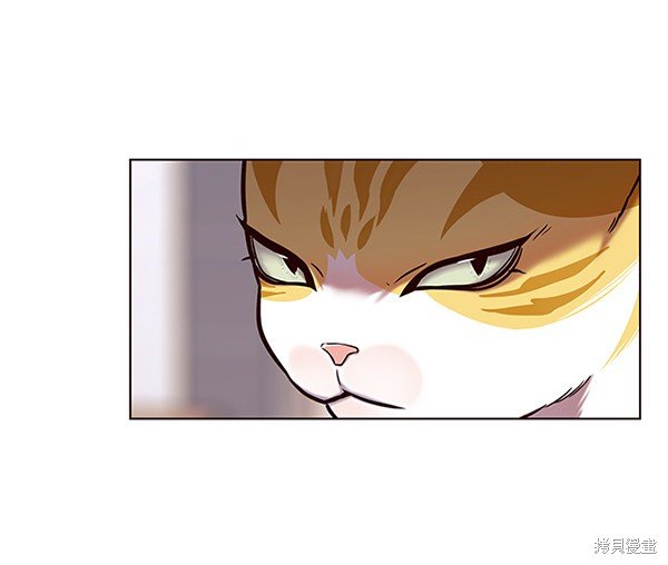 第117话