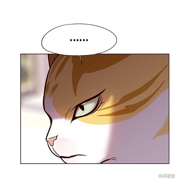 第117话
