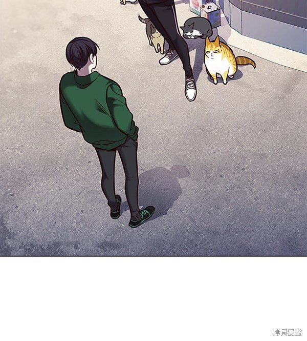第117话