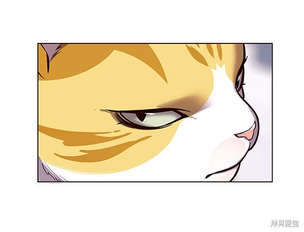 第117话