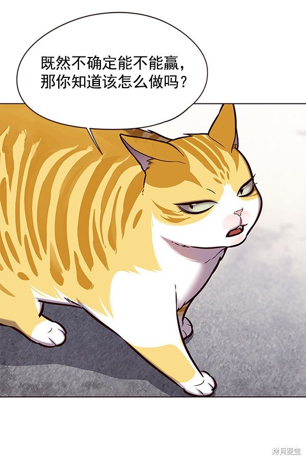 第117话