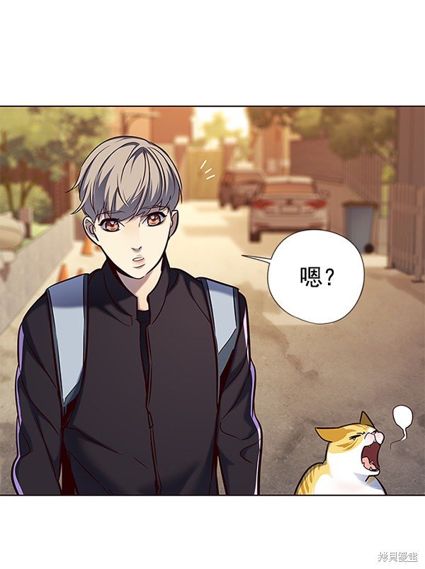 第117话