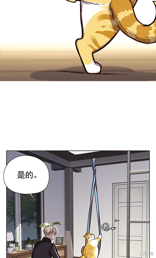 第118话