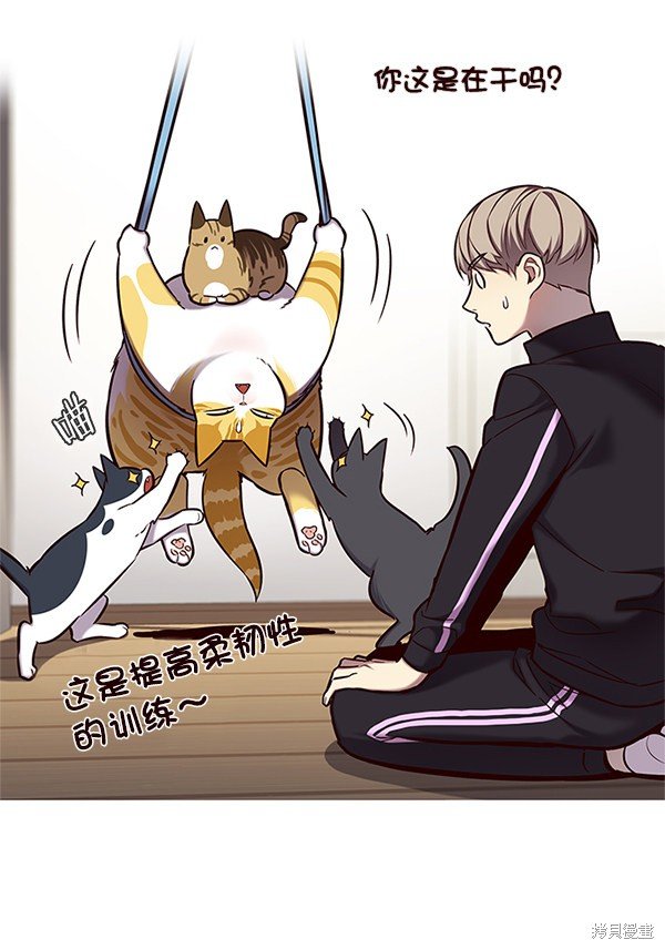 第118话