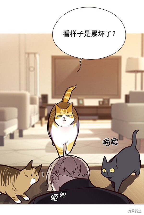 第118话