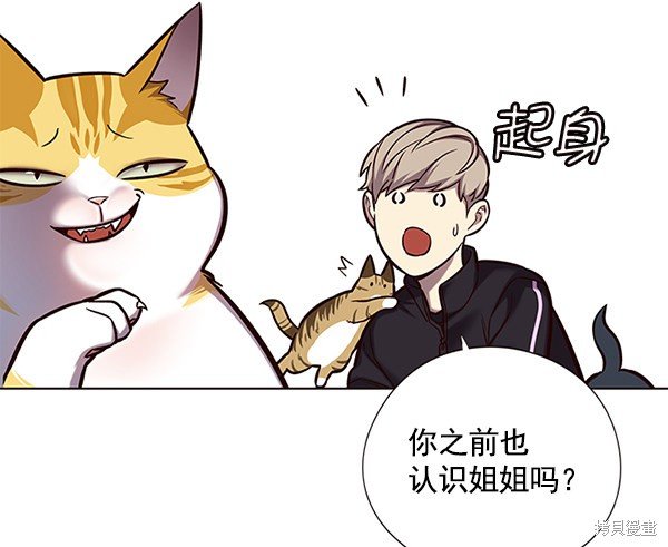第118话