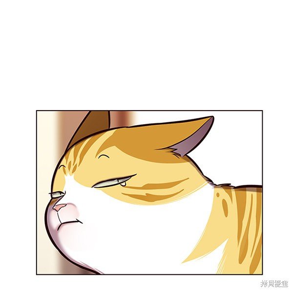 第118话