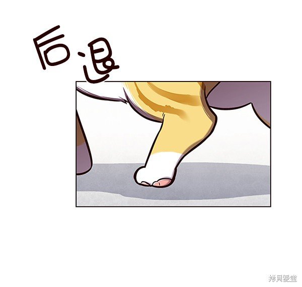 第119话