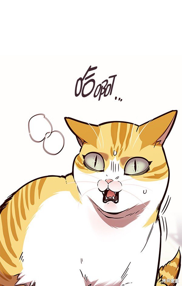 第138话