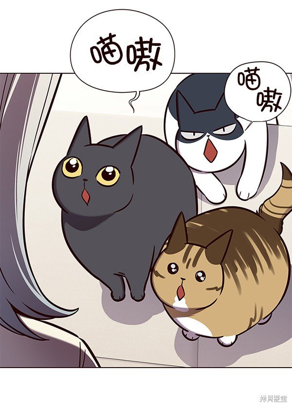 第141话