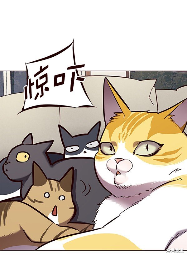 第141话