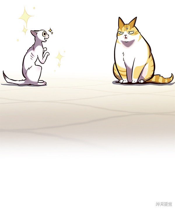 第141话