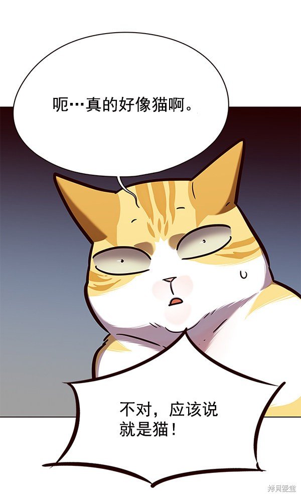 第141话
