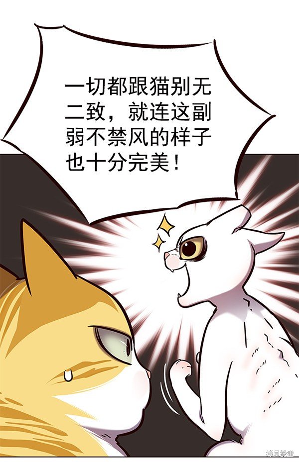 第141话