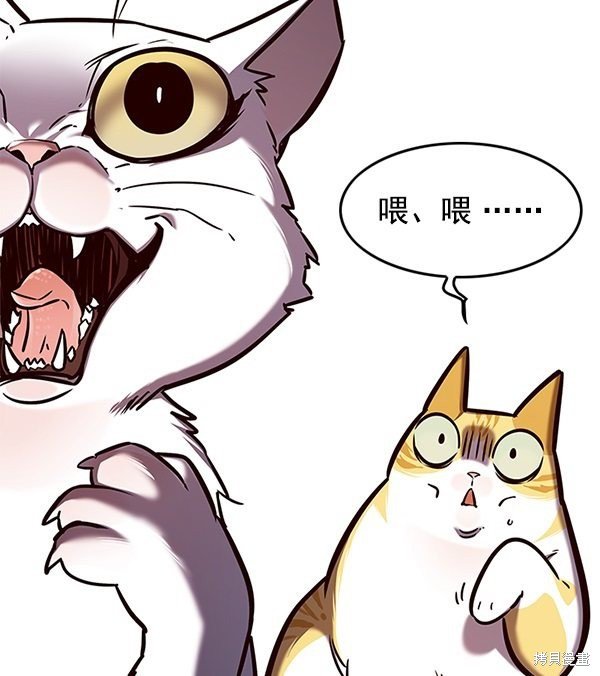 第141话