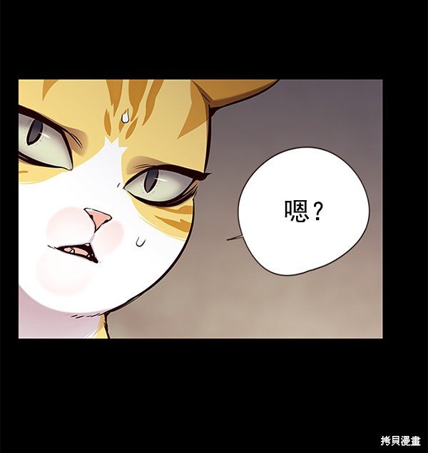 第142话